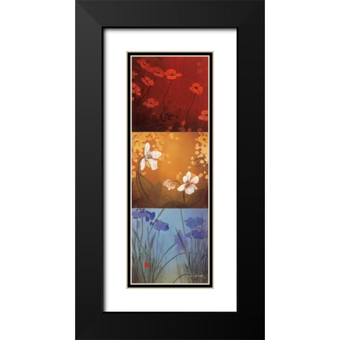 Aura Black Modern Wood Framed Art Print with Double Matting by Li-Leger, Don