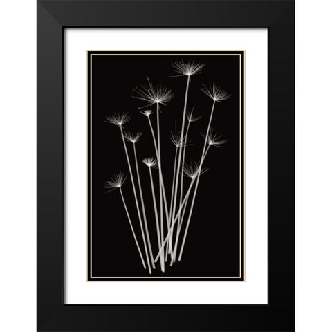 Three Rushes Black Modern Wood Framed Art Print with Double Matting by Wehtje, Jim