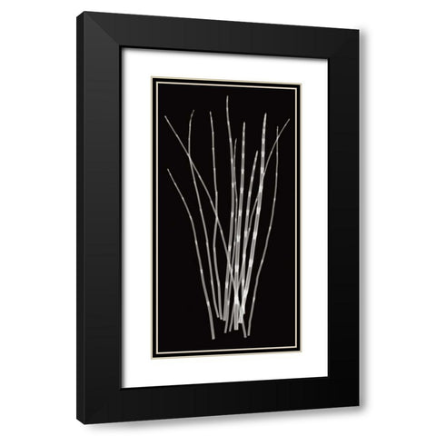 Three Rushes Black Modern Wood Framed Art Print with Double Matting by Wehtje, Jim