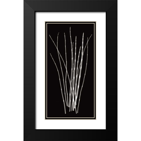 Three Rushes Black Modern Wood Framed Art Print with Double Matting by Wehtje, Jim