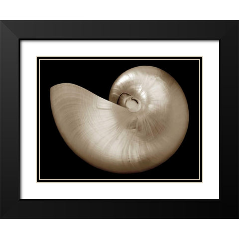 Ocean Keepsake I Black Modern Wood Framed Art Print with Double Matting by Britt, Charles