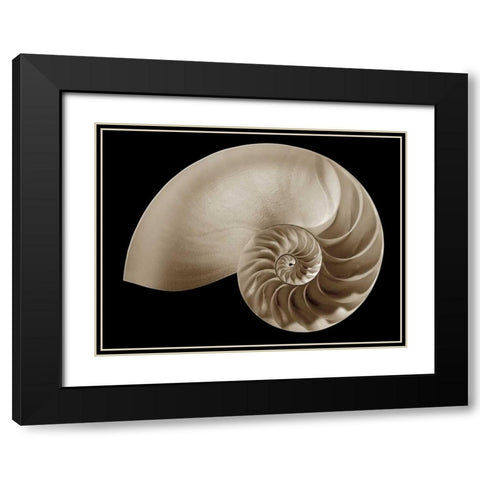Ocean Keepsake II Black Modern Wood Framed Art Print with Double Matting by Britt, Charles
