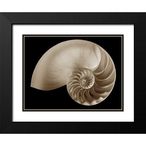 Ocean Keepsake II Black Modern Wood Framed Art Print with Double Matting by Britt, Charles