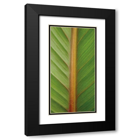 Verdant Trio II Black Modern Wood Framed Art Print with Double Matting by Maihara/Watt, Jeff/Boyce