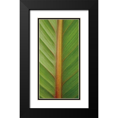 Verdant Trio II Black Modern Wood Framed Art Print with Double Matting by Maihara/Watt, Jeff/Boyce