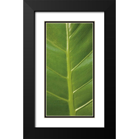 Verdant Trio III Black Modern Wood Framed Art Print with Double Matting by Maihara/Watt, Jeff/Boyce