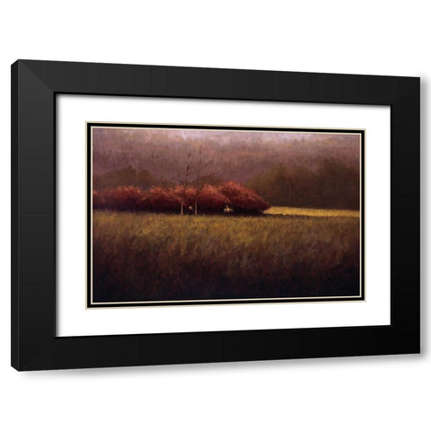 Young Maples Black Modern Wood Framed Art Print with Double Matting by Winegar, Simon