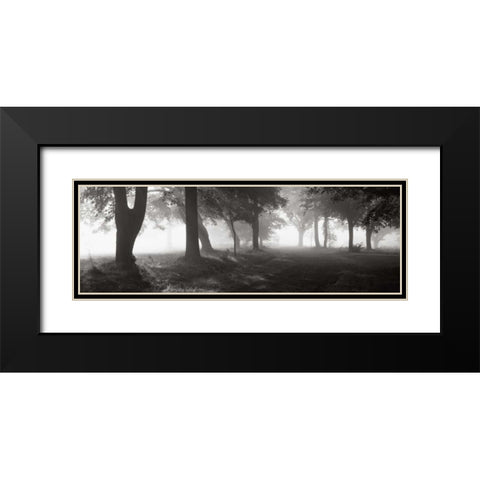 Translucence Black Modern Wood Framed Art Print with Double Matting by Sleeper, Mike