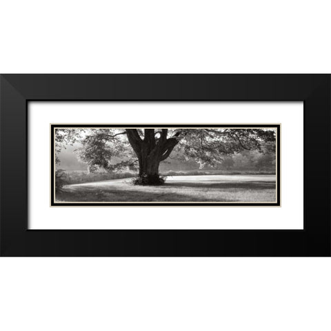 Ascendancy) Black Modern Wood Framed Art Print with Double Matting by Sleeper, Mike