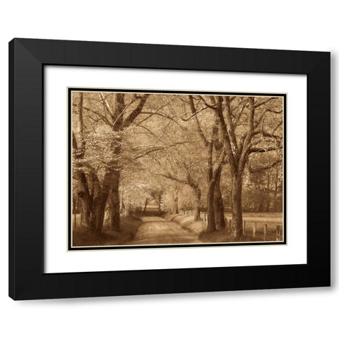 Smokies Road Black Modern Wood Framed Art Print with Double Matting by Caro, Wendy
