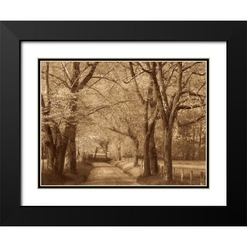 Smokies Road Black Modern Wood Framed Art Print with Double Matting by Caro, Wendy