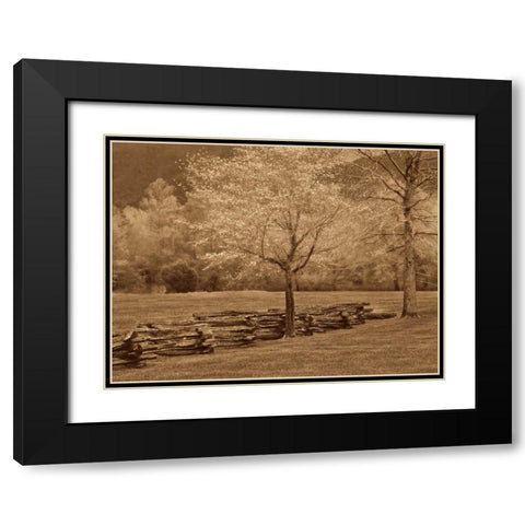 Smokies Fence Black Modern Wood Framed Art Print with Double Matting by Caro, Wendy