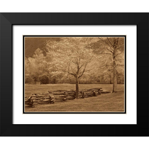 Smokies Fence Black Modern Wood Framed Art Print with Double Matting by Caro, Wendy