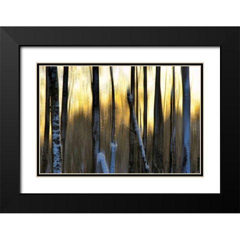 The Forest at Dawn Black Modern Wood Framed Art Print with Double Matting by Pelkey, Marvin