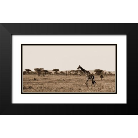 Serengeti Horizons II Black Modern Wood Framed Art Print with Double Matting by Maihara/Watt, Jeff/Boyce