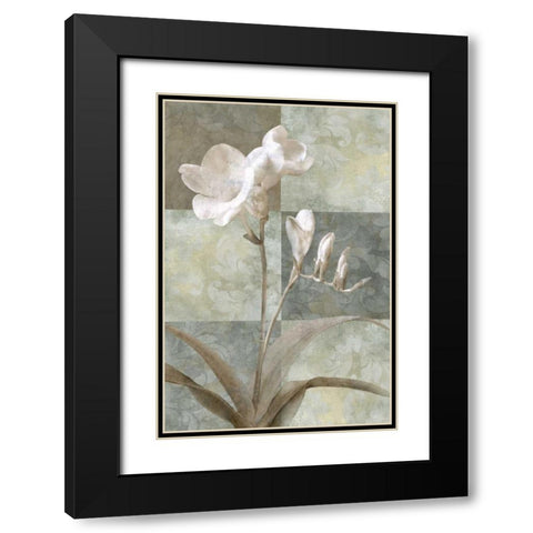 Memento I Black Modern Wood Framed Art Print with Double Matting by Mallett, Keith