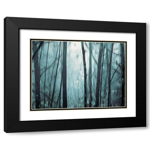 Spring Mist I Black Modern Wood Framed Art Print with Double Matting by Pelkey, Marvin