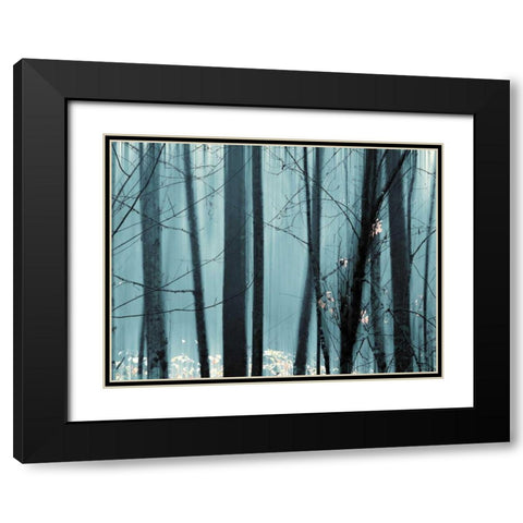 Spring Mist II Black Modern Wood Framed Art Print with Double Matting by Pelkey, Marvin