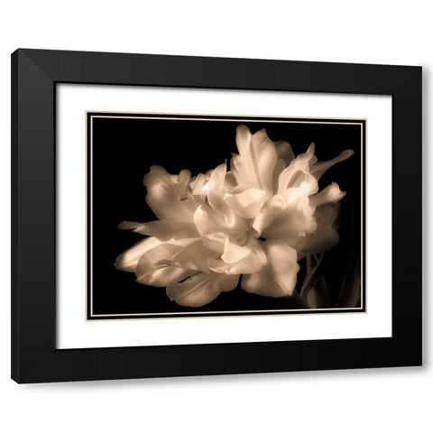 Double Dappled I Black Modern Wood Framed Art Print with Double Matting by Britt, Charles
