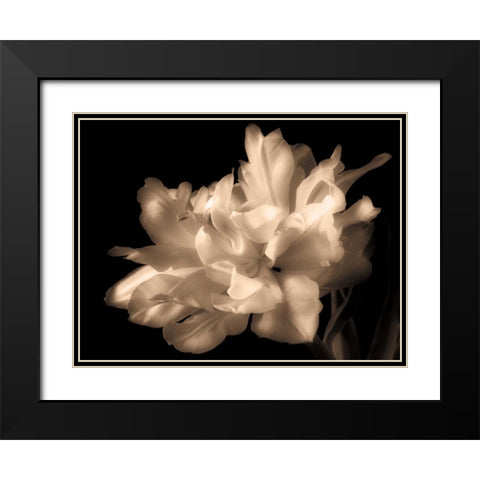 Double Dappled I Black Modern Wood Framed Art Print with Double Matting by Britt, Charles