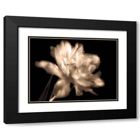 Double Dappled II Black Modern Wood Framed Art Print with Double Matting by Britt, Charles