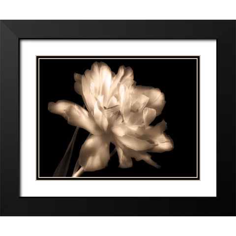 Double Dappled II Black Modern Wood Framed Art Print with Double Matting by Britt, Charles