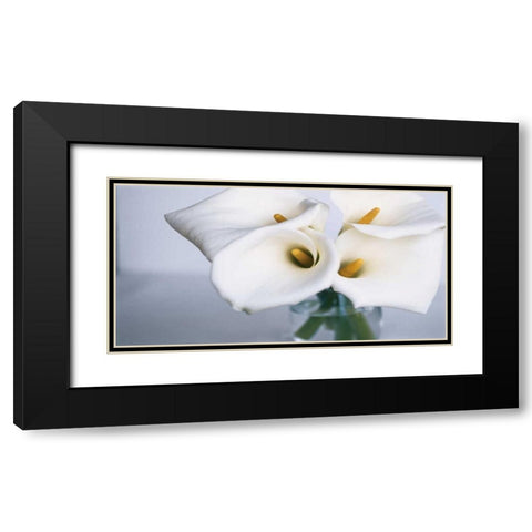 Springplicity II Black Modern Wood Framed Art Print with Double Matting by Ryan, Cinzia