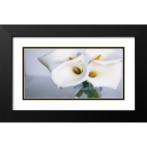 Springplicity II Black Modern Wood Framed Art Print with Double Matting by Ryan, Cinzia