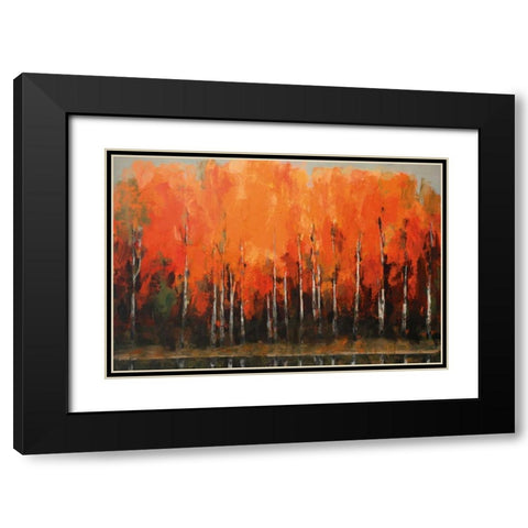 Birch Shoreline Black Modern Wood Framed Art Print with Double Matting by Colbert , Peter
