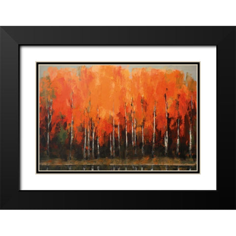 Birch Shoreline Black Modern Wood Framed Art Print with Double Matting by Colbert , Peter