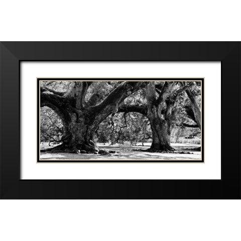 Majestic Oaks II Black Modern Wood Framed Art Print with Double Matting by Maihara, Jeff