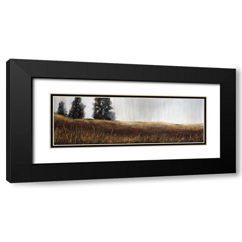 Summer Lights Black Modern Wood Framed Art Print with Double Matting by St.Germain, Patrick