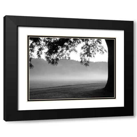 Fog in the Park I Black Modern Wood Framed Art Print with Double Matting by Bydlo, Gary