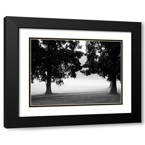 Fog in the Park II Black Modern Wood Framed Art Print with Double Matting by Bydlo, Gary