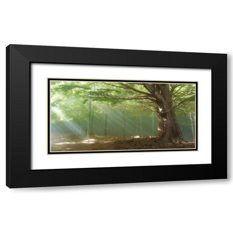 Lights Black Modern Wood Framed Art Print with Double Matting by Vila , Toni