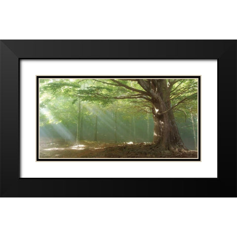 Lights Black Modern Wood Framed Art Print with Double Matting by Vila , Toni