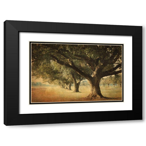 Island Oak Black Modern Wood Framed Art Print with Double Matting by Guion, William