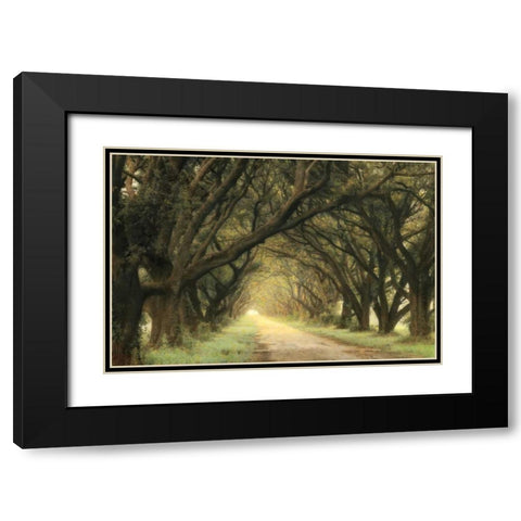 Evergreen Alley Black Modern Wood Framed Art Print with Double Matting by Guion, William