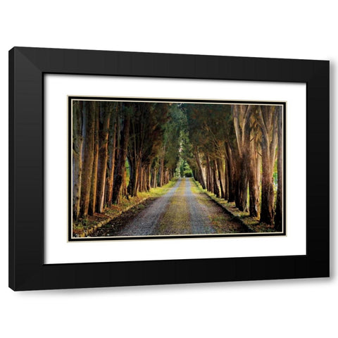 Tree Tunnel Black Modern Wood Framed Art Print with Double Matting by Cahill, Michael