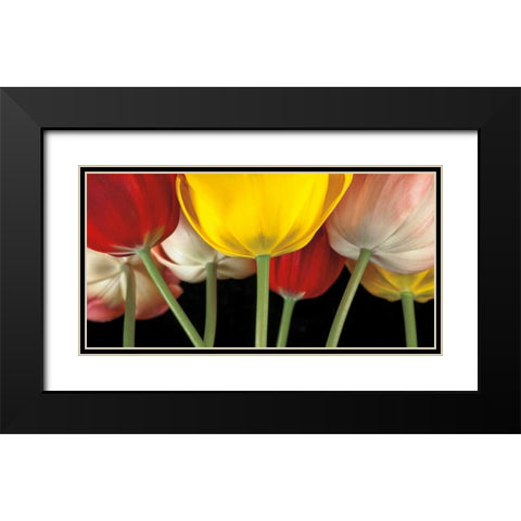 Sunshine Tulips Black Modern Wood Framed Art Print with Double Matting by Frank, Assaf