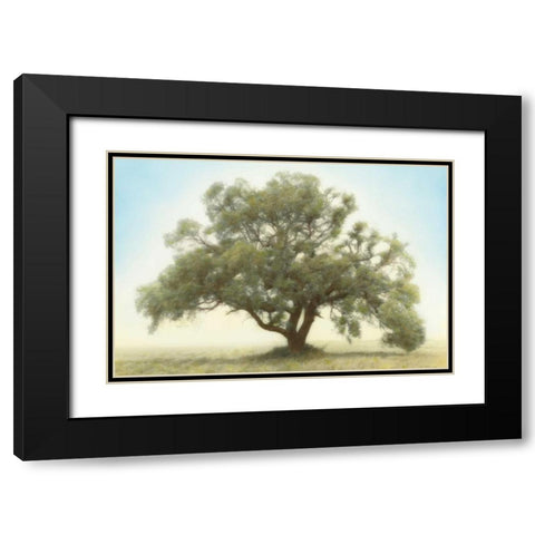 Oak and Blue Sky Black Modern Wood Framed Art Print with Double Matting by Guion, William