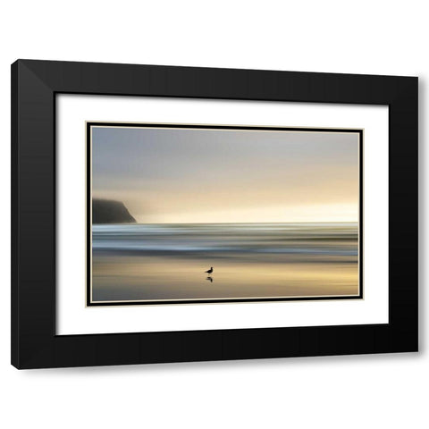 Morning Visit Black Modern Wood Framed Art Print with Double Matting by Pelkey, Marvin