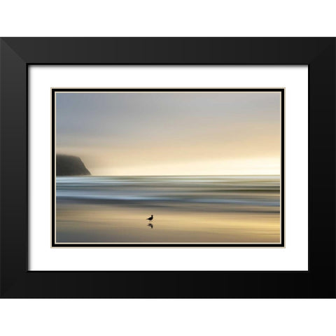 Morning Visit Black Modern Wood Framed Art Print with Double Matting by Pelkey, Marvin