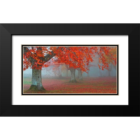 arboles Rojos Black Modern Wood Framed Art Print with Double Matting by Palacios, Juan Antonio