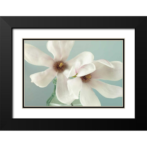 Magnolias Black Modern Wood Framed Art Print with Double Matting by Frank, Assaf