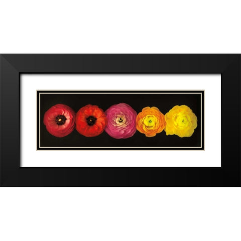 Ranunculus Black Modern Wood Framed Art Print with Double Matting by Frank, Assaf