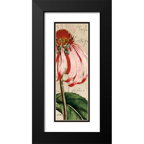 Jardin Botanique I Black Modern Wood Framed Art Print with Double Matting by Berg, Sabine