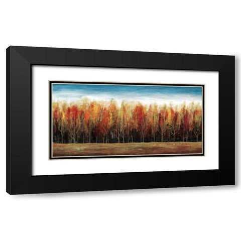 Deep Forest Black Modern Wood Framed Art Print with Double Matting by Fontaine, Stephane