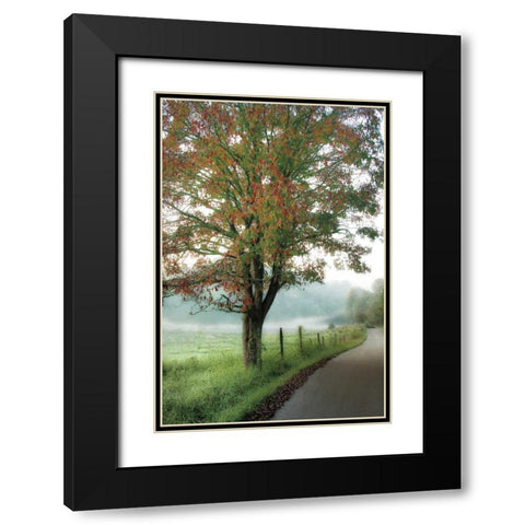 Almost Autumn Black Modern Wood Framed Art Print with Double Matting by Burt, D.