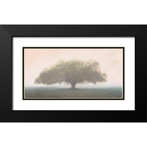 Oak in the Fog Black Modern Wood Framed Art Print with Double Matting by Guion, William